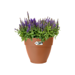 vibia campana 30cm terre cuite